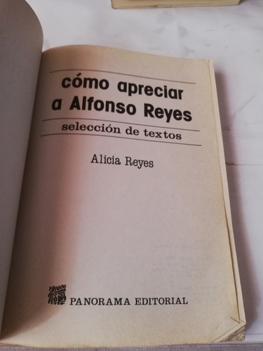 Cómo Apreciar La Alfonso Reyes Alicia Reyes Panorama (Usado)