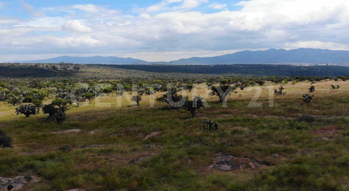 Lote De 5,000 M2 En Fraccionamiento A 16 Km Del Centro De San Miguel De Allende