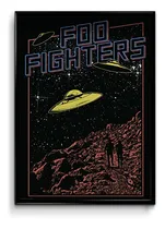 Comprar Cuadro Foo Fighters M1 35x50 (marco + Lámina + Vidrio)