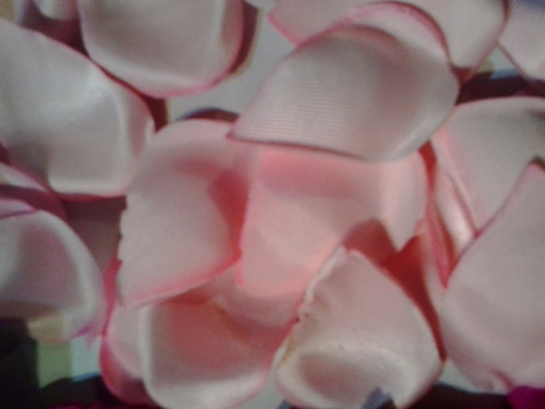 200 Petalos De Mini  Rosa En Tela  De Primera Calidad