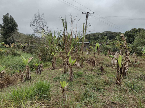 Imagem 14 de 14 de Chácara De 1 Alqueire De Terra Com Casa Simples Em Juquia Sp