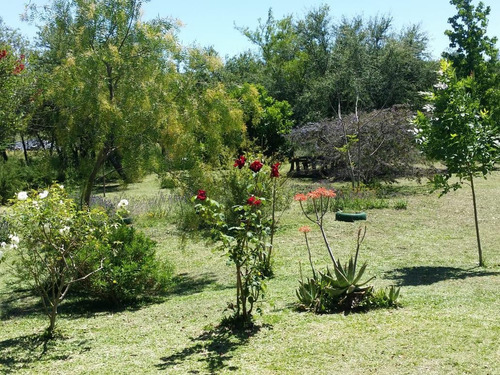 Imagen 9 de 11 de Campo - Colonia Hughes