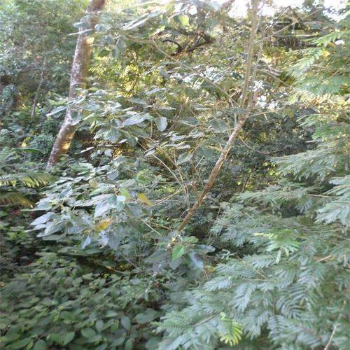Imagem 5 de 16 de Terreno Residencial À Venda, Condomínio Arujazinho I, Ii E Iii, Arujá - Te0101. - Te0101