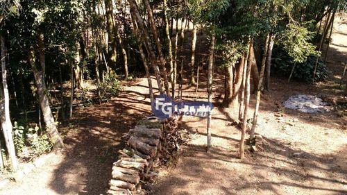 Imagem 7 de 25 de Chácara Com 2 Dormitórios À Venda, 5400 M² Por R$ 319.000,00 - Campestre Da Faxina - São José Dos Pinhais/pr - Ch0013