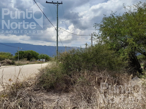 Terreno - Merlo