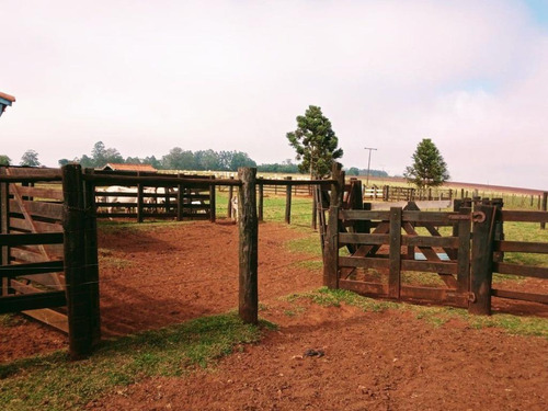 Imagem 3 de 9 de Fazenda Para Venda Em Piraju, Rural - Faz 610_1-1938997