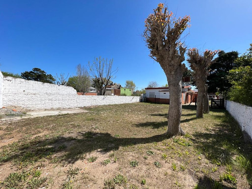 Imagen 14 de 29 de Casa Ph Con Terreno - Santa Teresita - Impecable Estado Y Buena Ubicación - Oportunidad