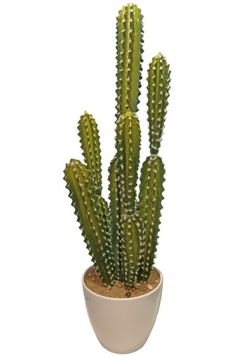 Cactus Decorativos Incluye Base