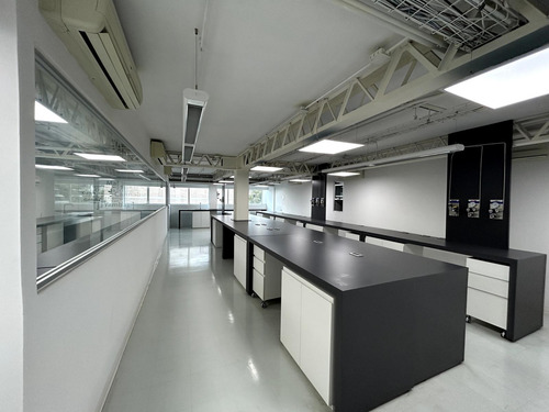Oficina En Renta - Insurgentes Sur - Piso 4 - 361 M2