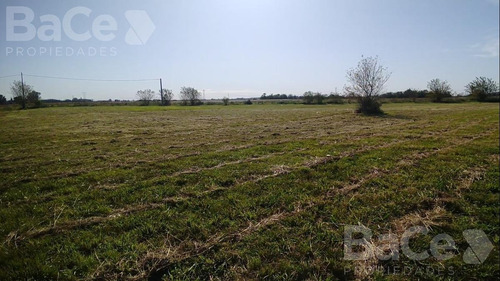 Imagen 6 de 8 de Venta Terreno Con Escritura - Alvear
