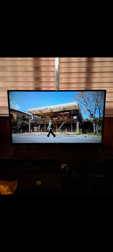 Televisor LG 49 (Usado)