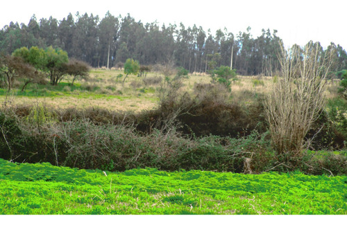 Propiedad Agrícola De Riego Con Derechos De Aguas Río Ñuble