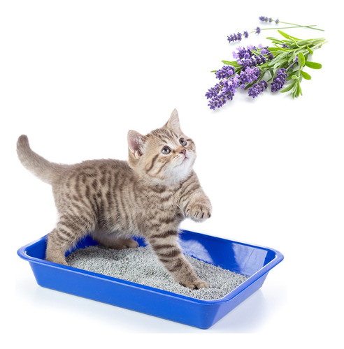 Piedritas De Gatos Catus Lavanda 4 Kg Absorbente Premium