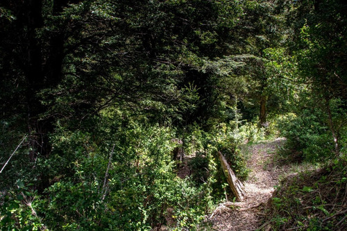 1 Hectárea Con Río Y Bosque | Tinquilco - Huerquehue - Pucón
