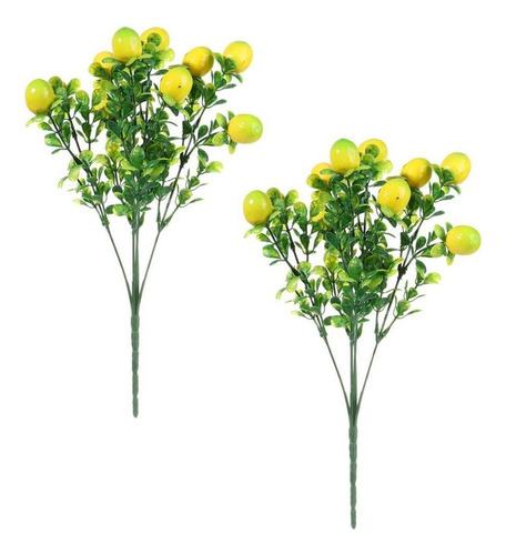 Rama De Limón-