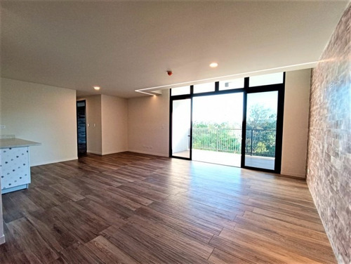 Imagen 2 de 4 de Apartamento Nuevo En Colonia Escalón Vista Espectacular - Pva-024-10-16-14