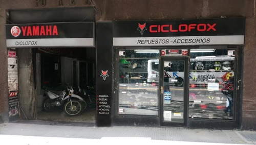Moto Scooter Electrica Citycoco 12.5a Ciclofox