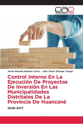Libro: Control Interno En La Ejecución De Proyectos De Inver