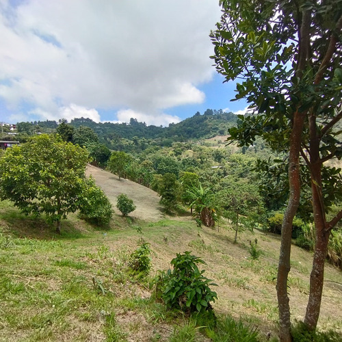 Venta Dapa Casa Finca Para Remodelar A Su Gusto, Sector Miravalle Yumbo Dapa Finca Lote Casa Campestre