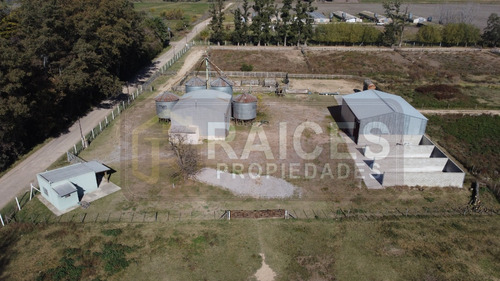 Imagen 3 de 12 de Feedlot En Alquiler! Ruta N. Nº 7 Km 87 A Cercania Del Peaje De San A. De Giles.