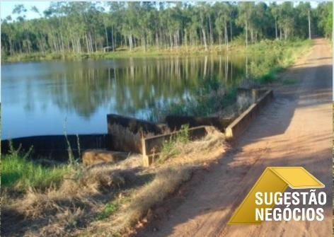 Imagem 11 de 15 de Fazenda No Asfalto Agricultura Ou Pecuaria - 3112
