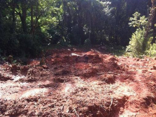Imagem 2 de 4 de Terreno Residencial À Venda, Cacéia, Mairiporã. - Te0117