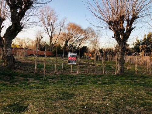 Imagen 2 de 6 de Oportunidad!! Lote En Santa Teresita