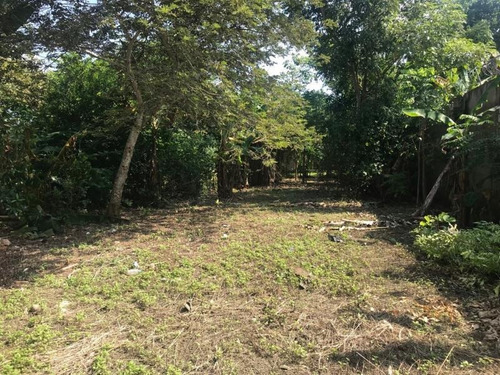 Imagen 5 de 11 de Terreno Comercial En Venta Col. El Torito