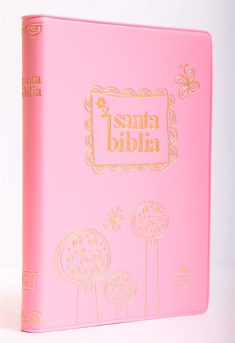 Biblia Reina Valera 1960 Chica, Morada Y Rosa