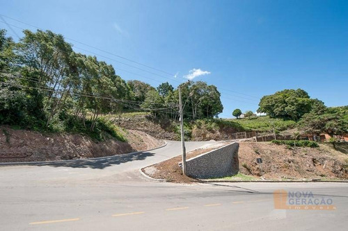 Imagem 2 de 6 de Terreno À Venda, 330 M² Por R$ 150.000,00 - De Lazzer - Caxias Do Sul/rs - Te0106