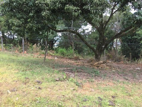 Imagem 23 de 30 de Chacara - Ch00274 - 33473440