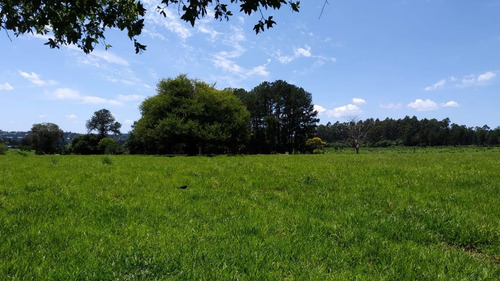 Imagen 9 de 21 de Lote En Venta 1219m2 En Puerto Rico - Loteo Clemens Blick