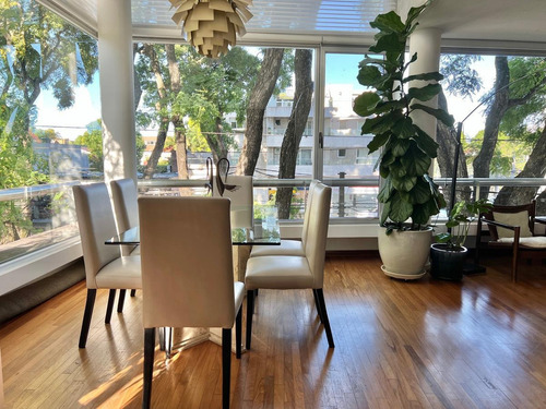 Imagen 5 de 30 de Maravilloso Penthouse Con Gran Jardin Propio En Terraza, En Martinez