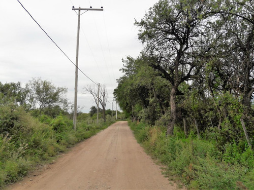 Imagen 8 de 8 de Terreno - Los Molles