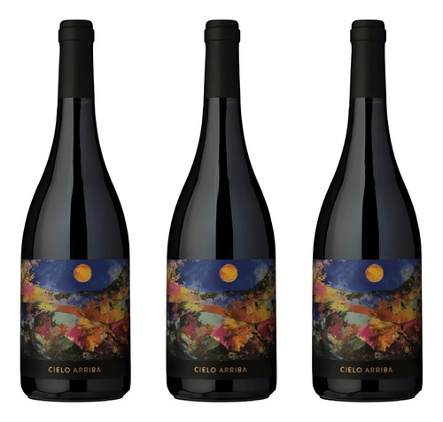 Vino Blend Cielo Arriba Bodega Huichaira Vineyard 750 ml Pack X 3 u
