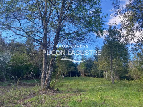 Parcela Sector Pte Luengo Caburga (agua/luz) (170307)