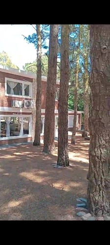 Casa Mar De Las Pampas Rodeada Bosque Promo Vacaciones Invie