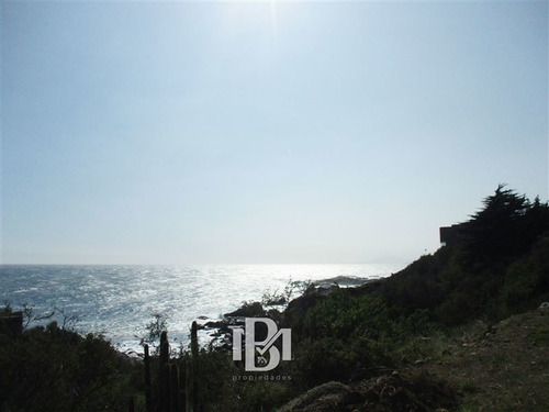 Imagen 1 de 6 de Sitio En Venta En Zapallar