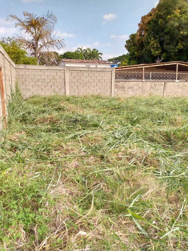Imagen 3 de 6 de Terreno En Venta. Alto Barinas