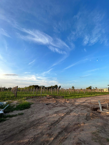 Imagen 15 de 23 de Venta Lote Terreno Lote En Barrio Cerrado Zona Oeste Sobre Colectora Autopista