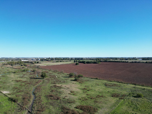 Campo De 37 Ha A Pocas Cuadras Del Cruce De R8 Y R51