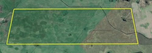 Imagen 10 de 21 de Campo Ganadero En Roque Perez Muy Bien Ubicado A 15 Km Del Asfalto