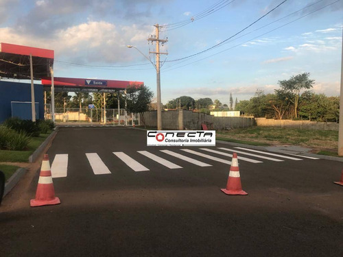 Imagem 5 de 8 de Terreno À Venda, 1300 M² - Loteamento Industrial Gamma - Sumaré/sp - Te0083
