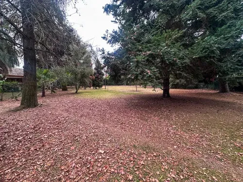 Tremenda Oportunidad Inmobiliaria - San Damián