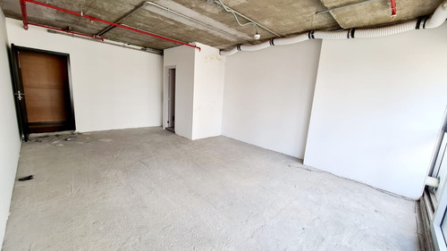 Imagem 4 de 15 de Parque Da Cidade Locacao E Venda | Npi Imoveis - V-4522