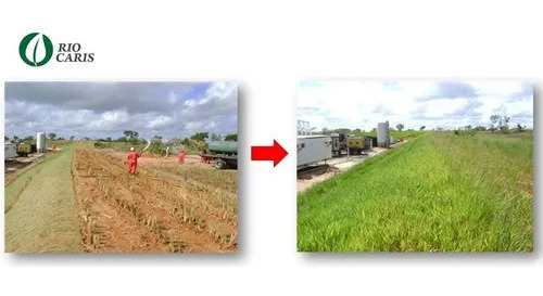 Imagen 9 de 10 de Geotextil-geomalla-agromanto(manto Control De Erosion Talud)