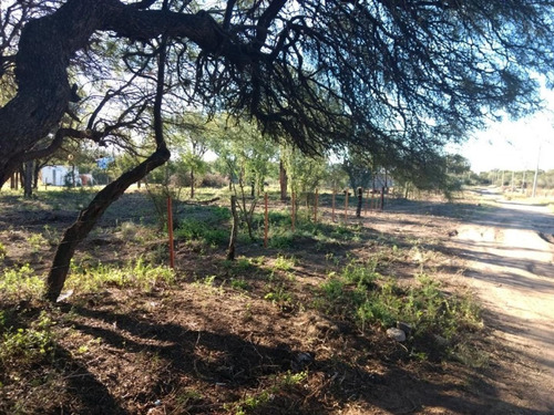 Imagen 8 de 8 de Gran Lote De 1500 Mts Con Forestacion Autoctona!!