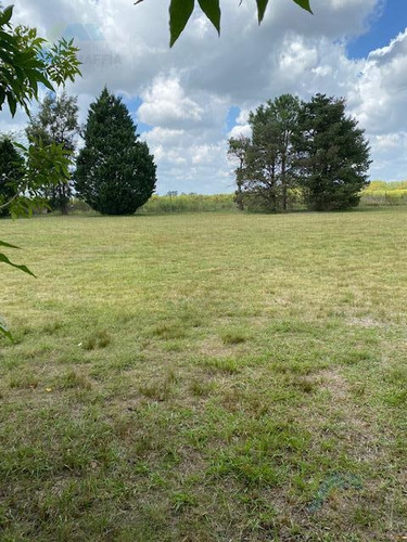Imagen 2 de 15 de Terreno - Venta De Lote En Barrio Los Alcanfores De 1.000m2