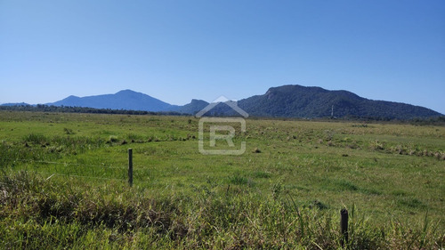Imagem 27 de 30 de Fazenda Localizada Em Iguape- Sp Com 280 Alqueires - 262 - 71153412
