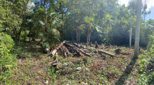 Imagen 1 de 6 de Terreno En Tulum La Veleta Región 9 Contra Esquina Gipsy Mar